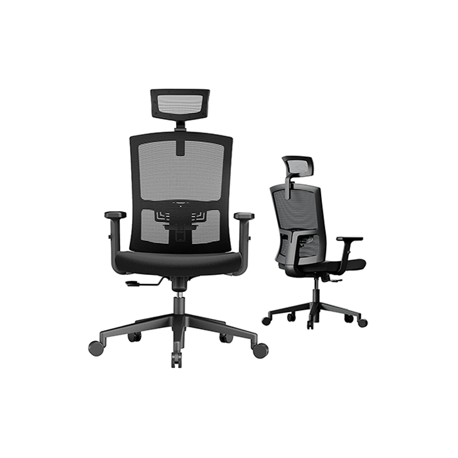 Adjustable Computer Chair